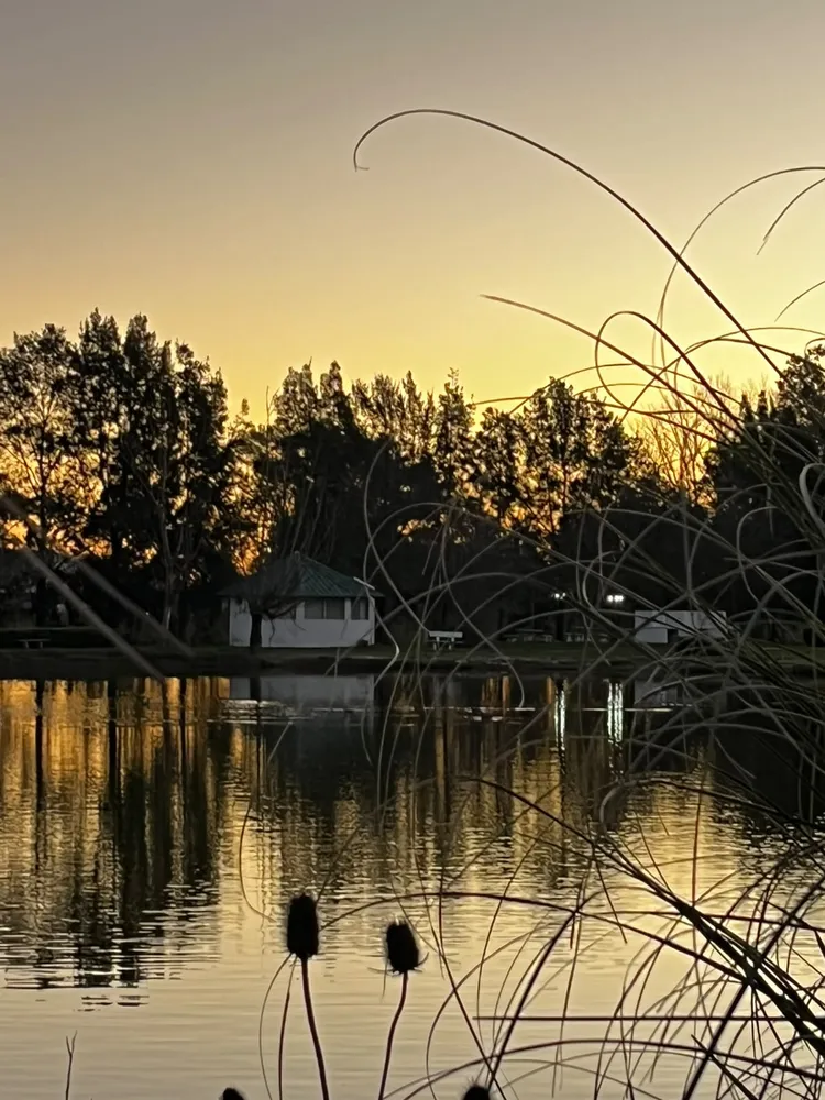 Cabañas del Lago Lobos